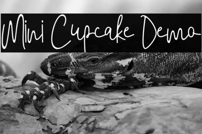 Mini Cupcake Demo Font examples