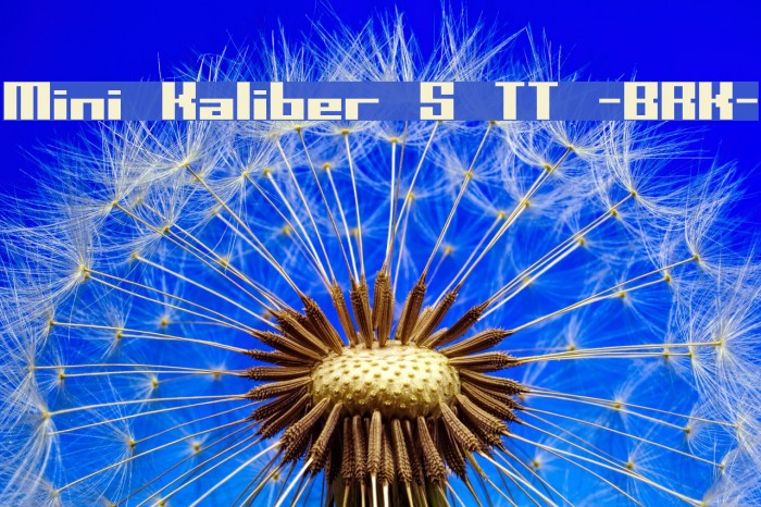Mini Kaliber S TT -BRK- Font examples