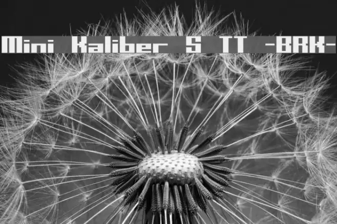 Mini Kaliber S TT -BRK- Example 1