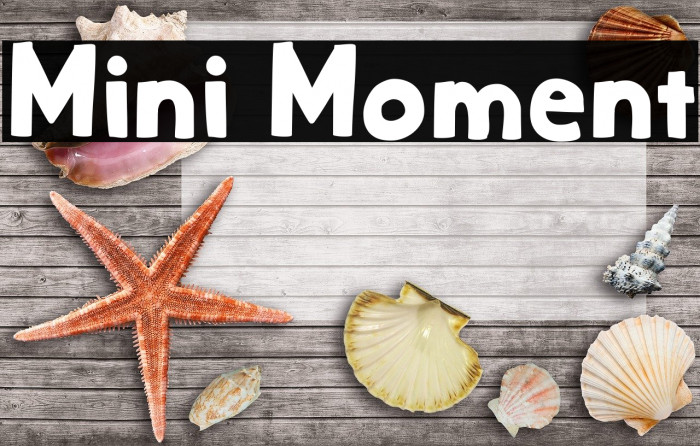 Mini Moment Font examples