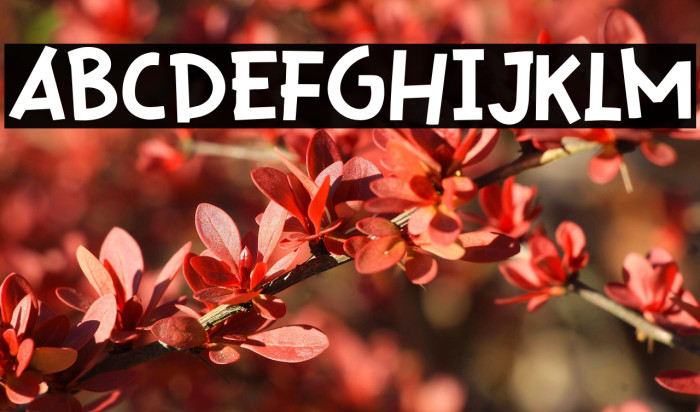 Mini Pizza Example 3