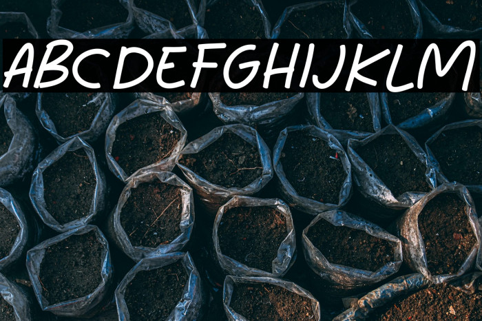 Mini Story Bold Example 3