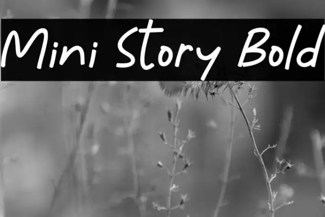 Mini Story Bold Font examples
