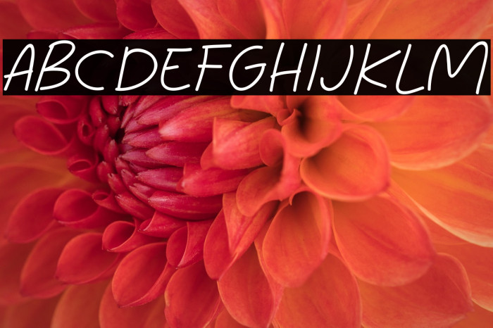 Mini Story Example 3