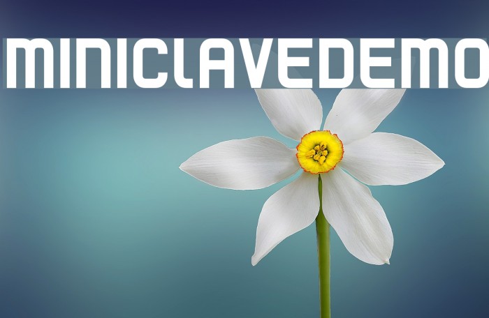 Mini clave DEMO Font examples