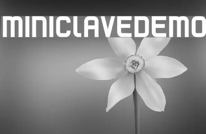 Mini clave DEMO Font examples