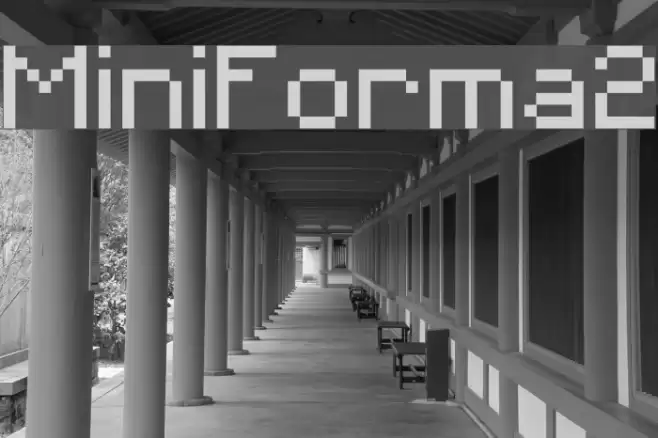 MiniForma2 Fuentes examples