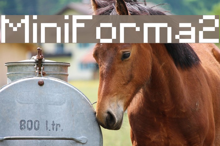 MiniForma2 Font examples