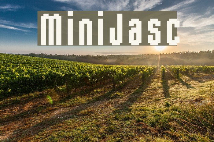 MiniJasc Font examples