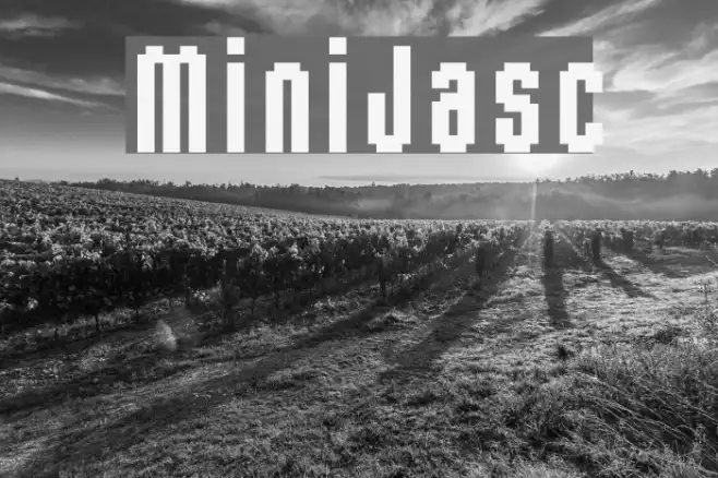 MiniJasc Example 3