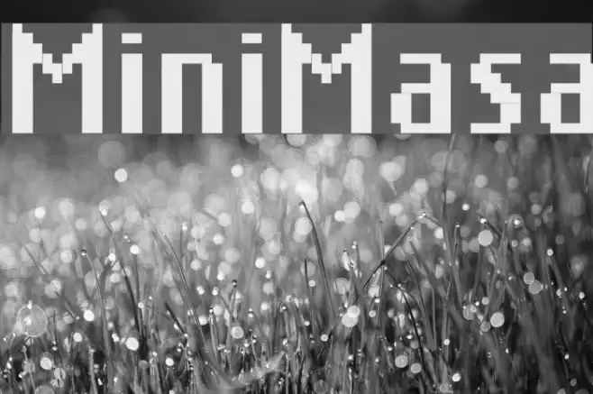 MiniMasa Example 1