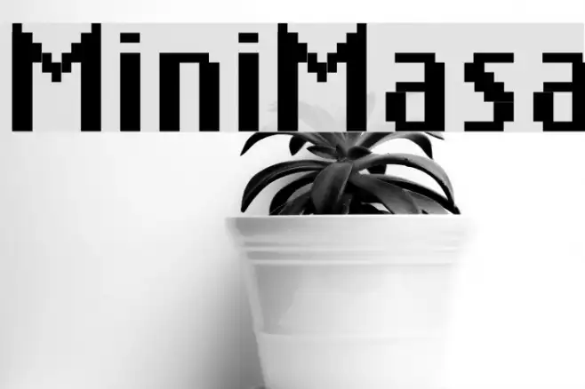 MiniMasa Example 2