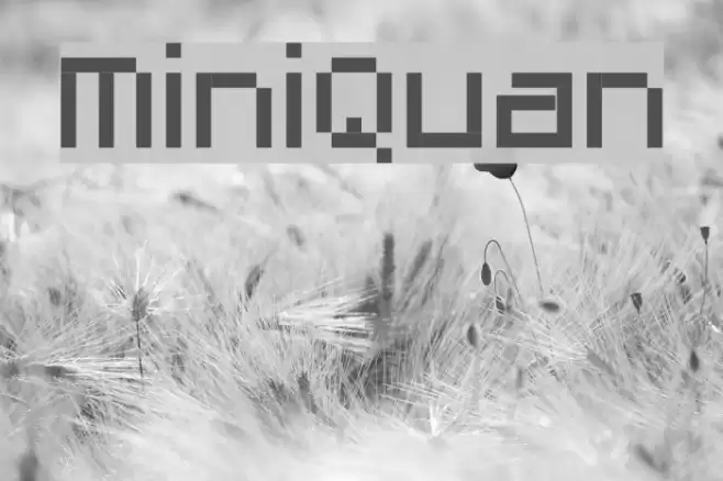 MiniQuan Font examples