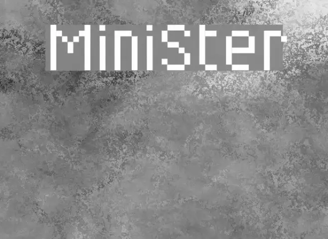 MiniSter Example 1