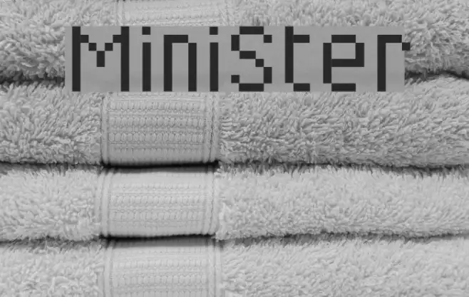 MiniSter Example 2