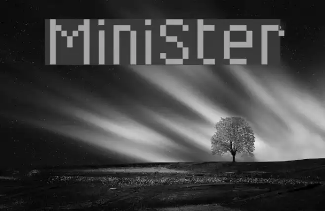 MiniSter Example 3