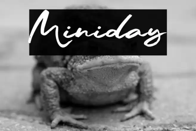 Miniday Fonte examples