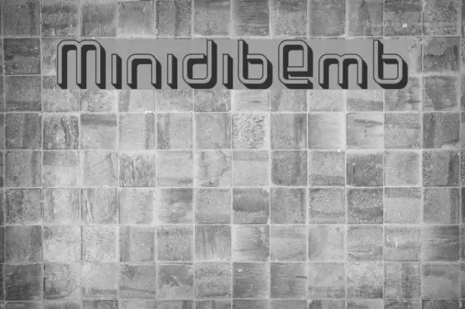 MinidibEmb Example 1