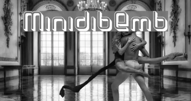 MinidibEmb Example 2