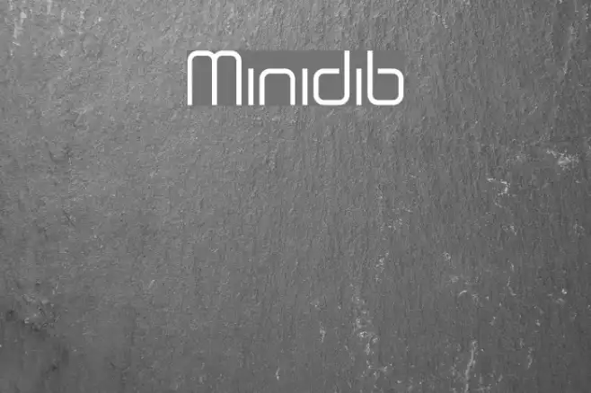 Minidib Example 1