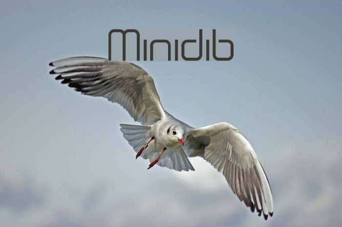 Minidib Font examples