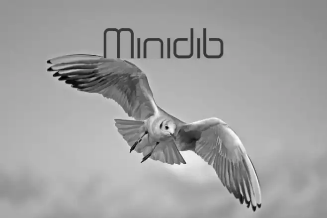 Minidib Example 3
