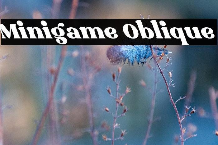 Minigame Oblique Example 2
