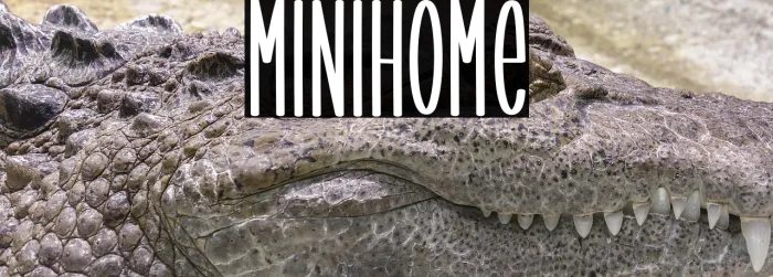 Minihome Example 1