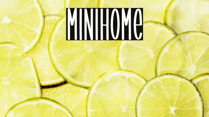 Minihome Example 3
