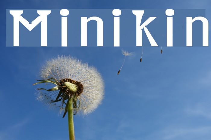 Minikin Polices examples