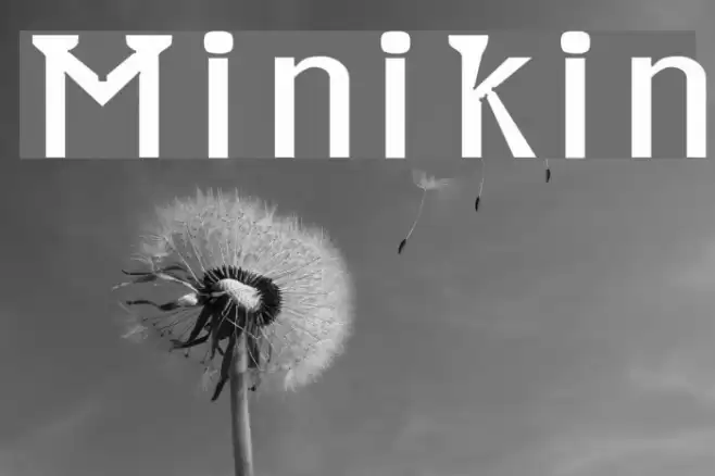 Minikin Font examples