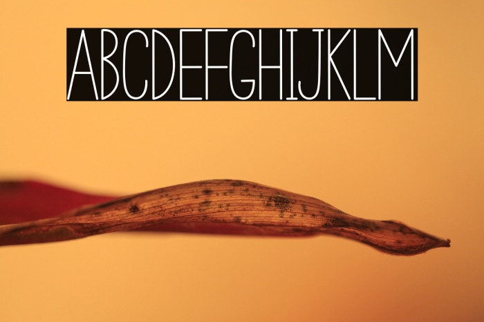 Minimalist  Creative Example 1