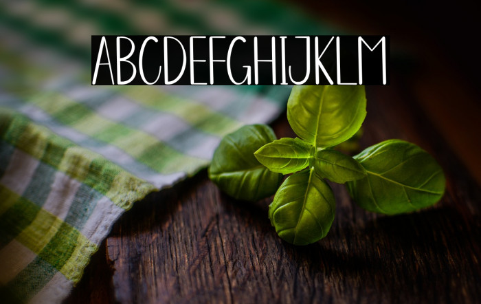 Minimalist Farmhouse Example 1