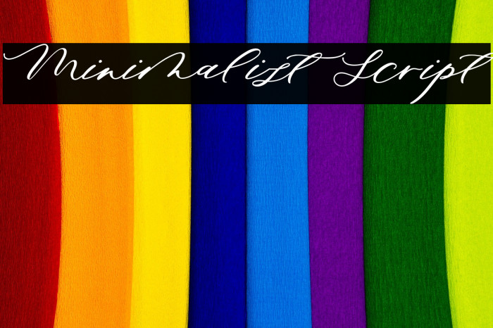 Minimalist Script Font examples