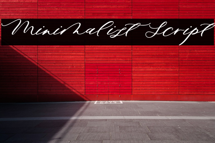Minimalist Script Font examples
