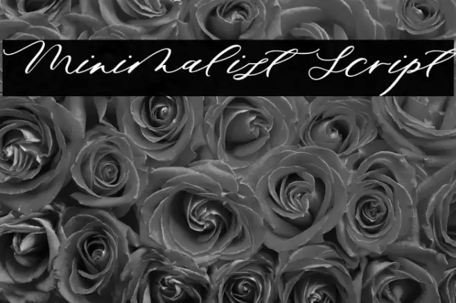 Minimalist Script Font examples