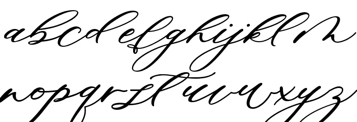 Minimalist Script Font LOWERCASE