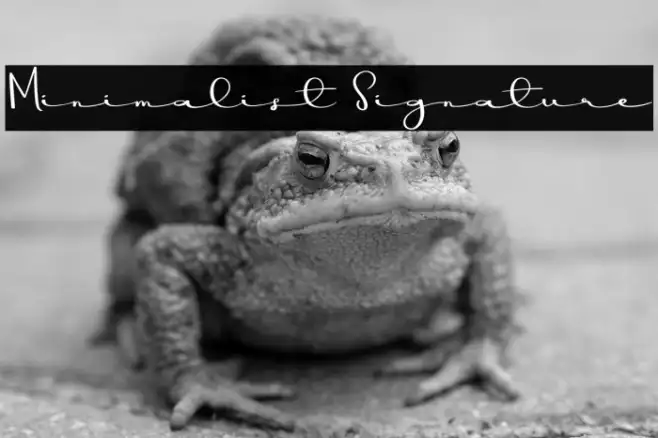 Minimalist Signature Example 2