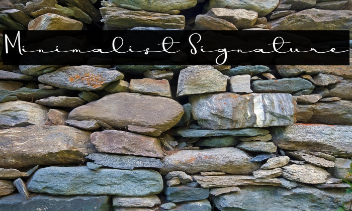 Minimalist Signature Example 3