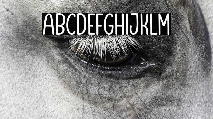 Minimalist Template Example 1