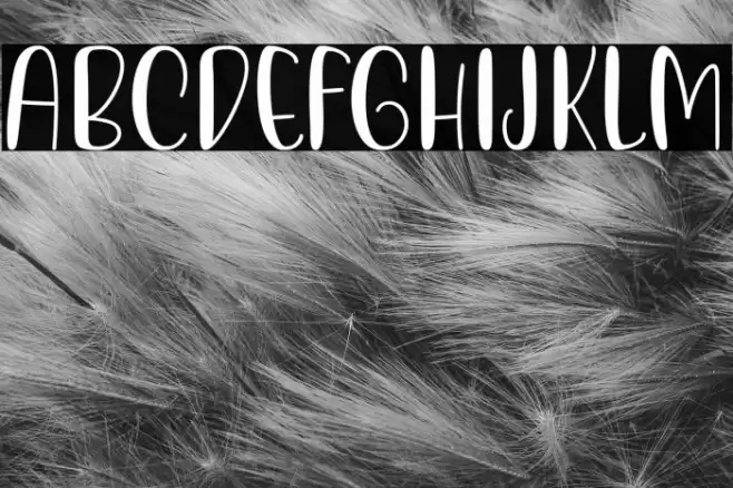 Minimalist Working Space フォント examples