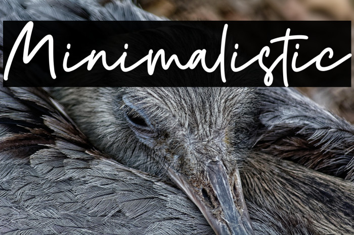 Minimalistic Example 1