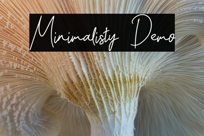 Minimalisty Demo Example 1