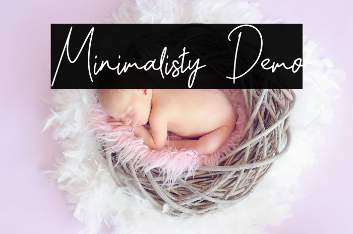 Minimalisty Demo Example 2