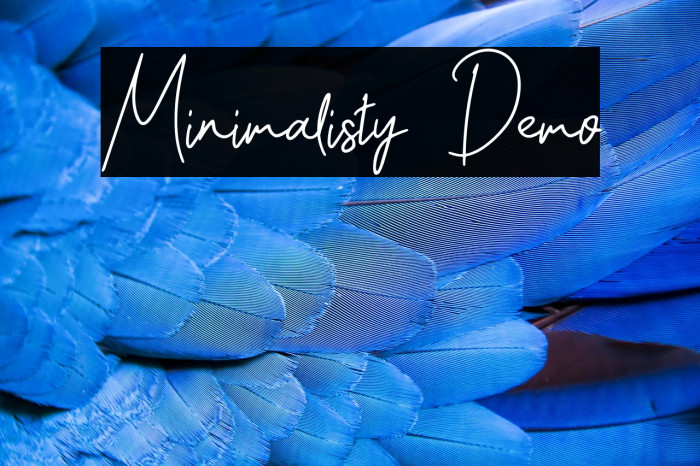 Minimalisty Demo Example 3