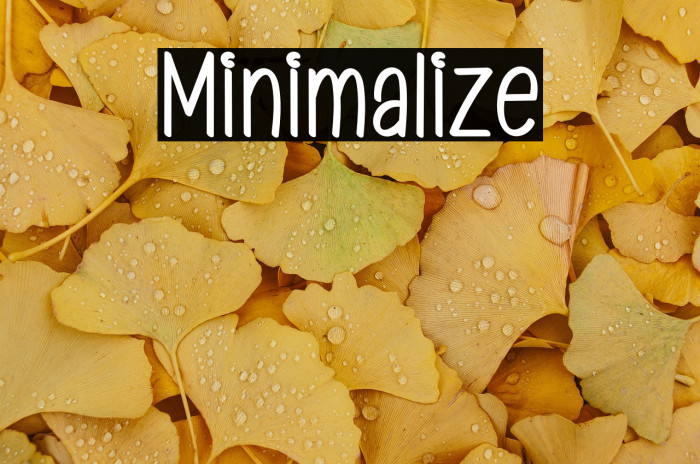 Minimalize Example 3