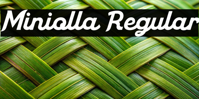 Miniolla Regular Example 1