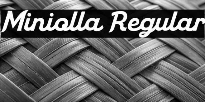 Miniolla Regular Font examples
