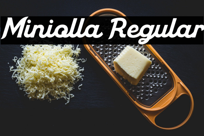 Miniolla Regular Example 2