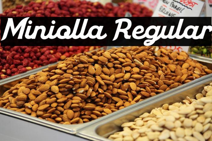 Miniolla Regular Example 3